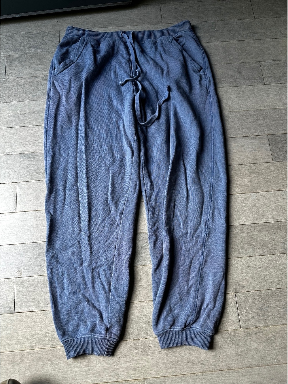 Women’s Aerie Blue Jogger Lounge Cozy Sleepwear Soft Sweatpants Size Large